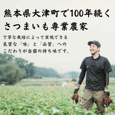 熊本県産　しっとり　紅はるか　冷凍焼き芋　200g×7パック