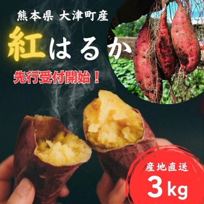 【先行受付】熊本県大津町 紅はるか 3kg