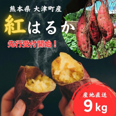 【先行受付】熊本県大津町 紅はるか 9kg