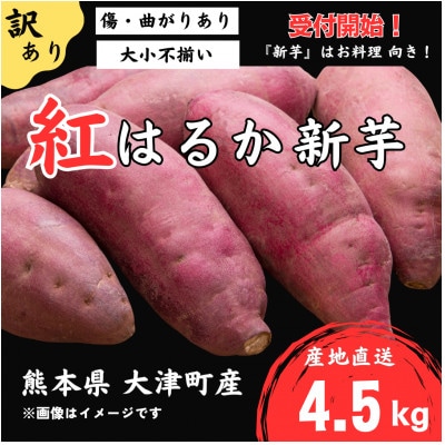 【訳あり】熊本県大津町 紅はるか(新芋)4.5kg