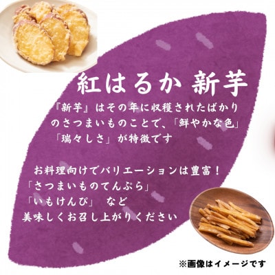【訳あり】熊本県大津町 紅はるか(新芋)4.5kg