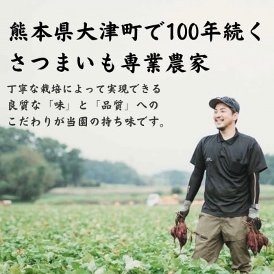 【訳あり】熊本県大津町 紅はるか(新芋)4.5kg