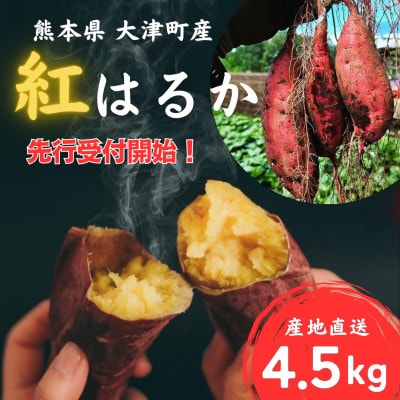 【先行受付】熊本県大津町 紅はるか 4.5kg