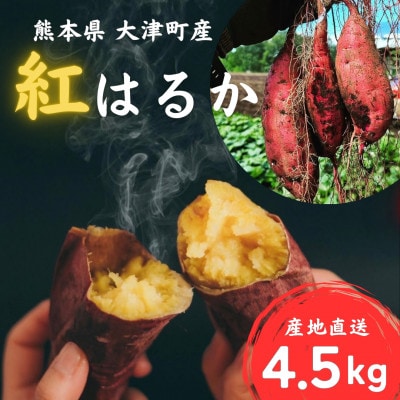 【受付延長!】熊本県大津町 紅はるか 4.5kg