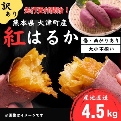 【訳あり】熊本県大津町　紅はるか 4.5kg