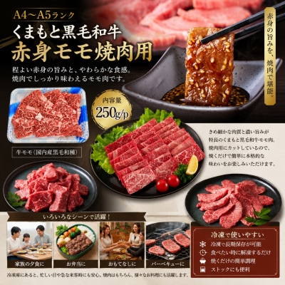 【A4～A5】くまもと黒毛和牛赤身モモ焼肉用 500g(250g×2p)