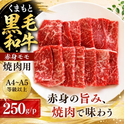 【A4～A5】くまもと黒毛和牛赤身モモ焼肉用 250g