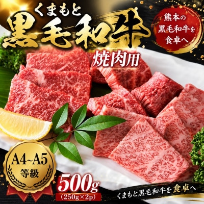 【A4～A5】くまもと黒毛和牛焼肉用 500g(250g×2p)