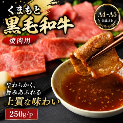 【A4～A5】くまもと黒毛和牛焼肉用 250g