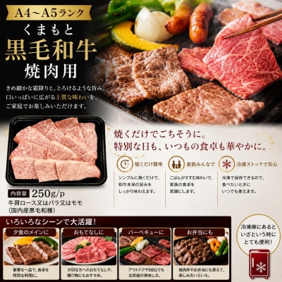【A4～A5】くまもと黒毛和牛焼肉用 250g