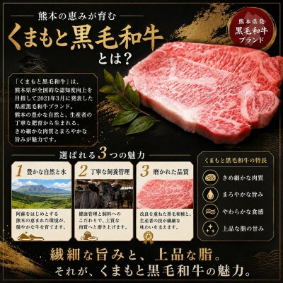 【A4～A5】くまもと黒毛和牛ヒレステーキ 200g(100g×2枚)