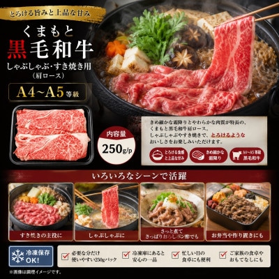【A4～A5】くまもと黒毛和牛しゃぶしゃぶすき焼き用(肩ロース)500g(250g×2p)
