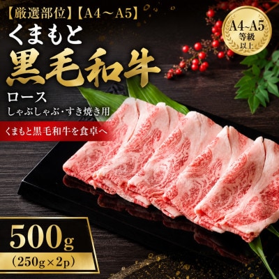 【厳選部位】【A4～A5】くまもと黒毛和牛ロースしゃぶしゃぶすき焼き用 500g(250g×2p)