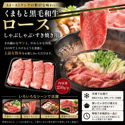 【厳選部位】【A4～A5】くまもと黒毛和牛ロースしゃぶしゃぶすき焼き用 500g(250g×2p)