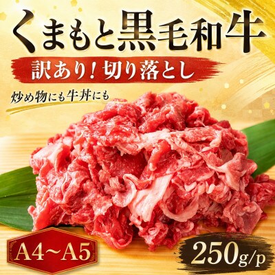 【A4～A5】訳あり!くまもと黒毛和牛切り落とし　250g