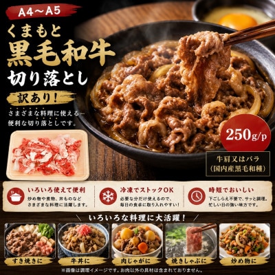 【A4～A5】訳あり!くまもと黒毛和牛切り落とし　250g