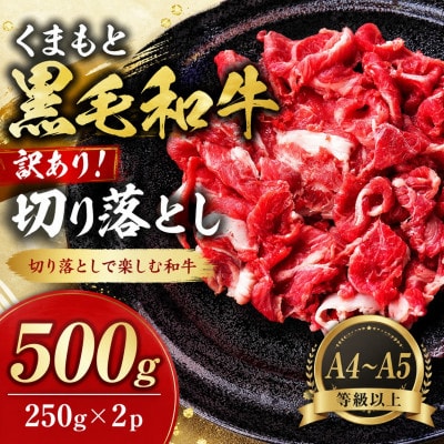 【A4～A5】訳あり!くまもと黒毛和牛切り落とし 500g(250g×2p)