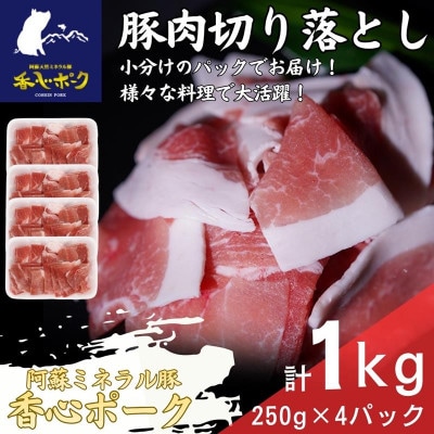 熊本県産「香心ポーク」切り落とし 約250g×4パック(計約1kg)(大津町)