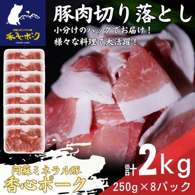 熊本県産「香心ポーク」切り落とし 約250g×8パック(計約2kg)(大津町)