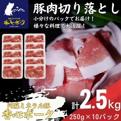 熊本県産「香心ポーク」切り落とし 約250g×10パック(計約2.5kg)(大津町)