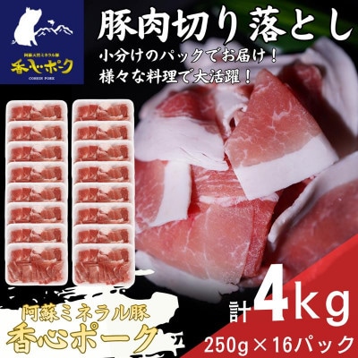熊本県産「香心ポーク」切り落とし 約250g×16パック(計約4kg)(大津町)