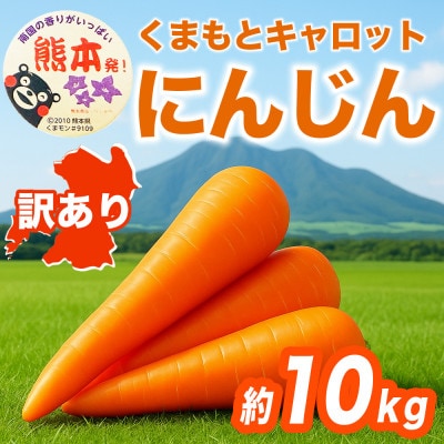 にんじん 訳あり 約10kg(大津町)