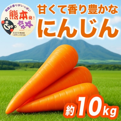 にんじん 約10kg(大津町)