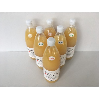 りんごジュース　1000ml×6本　(6種類)　信州高山産