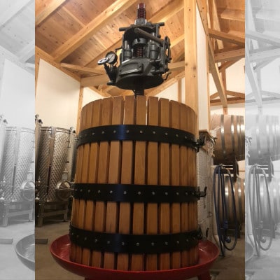 【ワイン農家のワイン】チャオ チャオ ロッソ 2023 メルロー1本