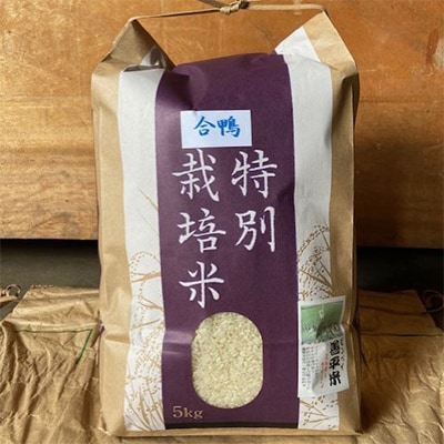 特別栽培米「ミルキークイーン」 白米5kg