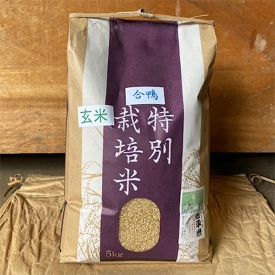 特別栽培米「ミルキークイーン」玄米 5kg