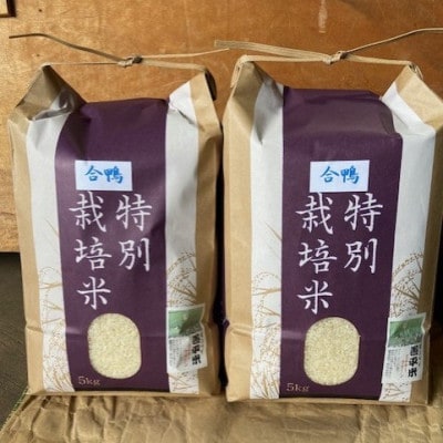 特別栽培米「ミルキークイーン」 白米 精米10kg(5kg×2袋)