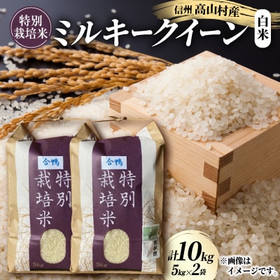特別栽培米「ミルキークイーン」 白米 精米10kg(5kg×2袋)