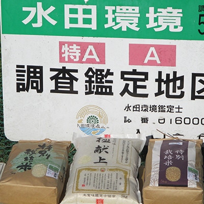 特別栽培米「ミルキークイーン」 白米 精米10kg(5kg×2袋)