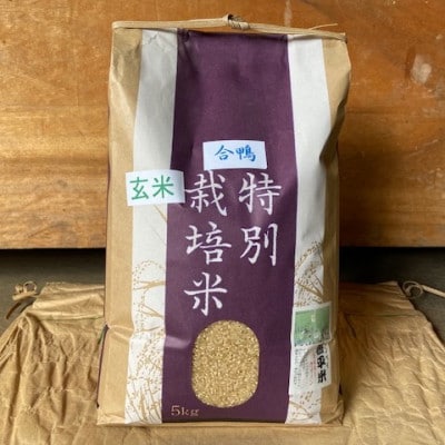 特別栽培米「ミルキークイーン」玄米 10kg(5kg×2袋)