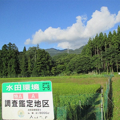 特別栽培米「ミルキークイーン」玄米 10kg(5kg×2袋)