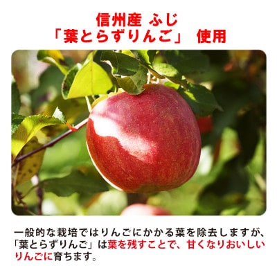 信州りんごチップスふじ25g×6袋　フリーズドライ製法 ノンフライ 着色料不使用・香料不使用
