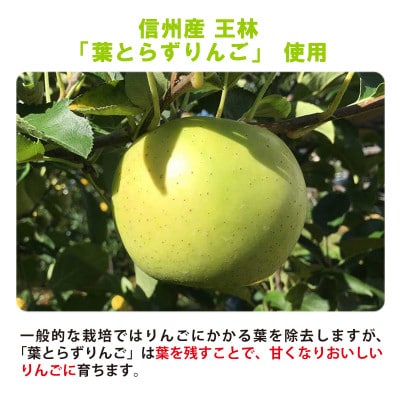 信州りんごチップス王林25g×6袋/フリーズドライ製法 着色料・香料不使用