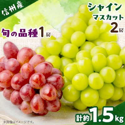 【信州産ぶどう3房セット】 シャインマスカット2房・旬の品種1房(約500g×3房)