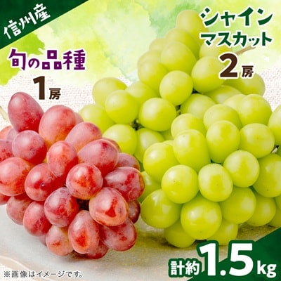 【信州産ぶどう3房セット】 シャインマスカット2房・旬の品種1房(約500g×3房)