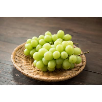 信州の高原育ちシャインマスカット 大きい600g×2房入り1.2kg　国際規格ASIAGAP認証農場