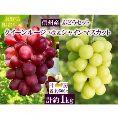 ラストセール！冷凍！モントーンドリアン　450gr x 9