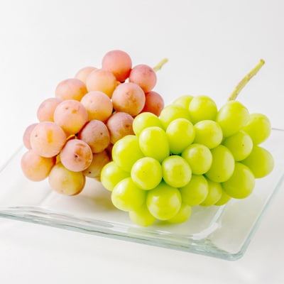 【信州産ぶどう2房セット】 シャインマスカット1房・旬の品種1房(約500g×2房)