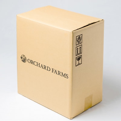 信州産りんごジュース(サンふじ すりおろし)4本+シードル2本セット