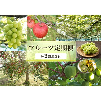 【3週間毎定期便】美しい村からのフルーツ定期便 シャインマスカット他 ベビーキウイ&サンふじ全3回