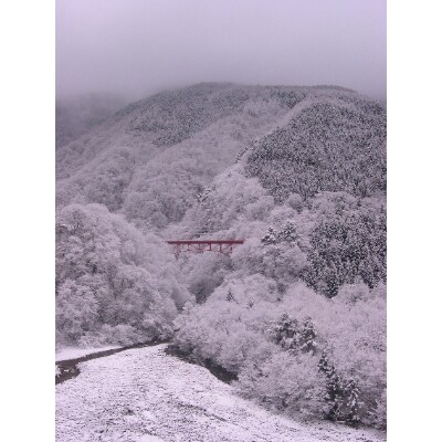 【長野県高山村】ふるさと納税旅行クーポン(3,000円分)
