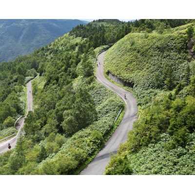 高山村政施行七十周年記念　信州高山ヒルクライムチャレンジ2026　出場権