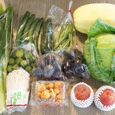 【産地直送新鮮野菜】長野県産　信州盛りだくさん野菜セット