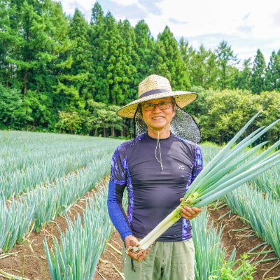 【産地直送新鮮野菜】長野県産　信州盛りだくさん野菜セット