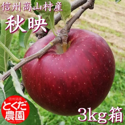 高山村産りんご(秋映)3kg箱